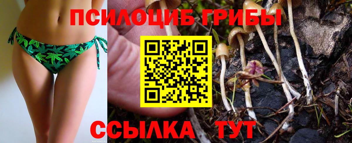 купить закладку  Вход с VPN  Артём  Псилоцибиновые грибы MAGIC MUSHROOMS  Галлюциногенные грибы Psilocybine cubensis 