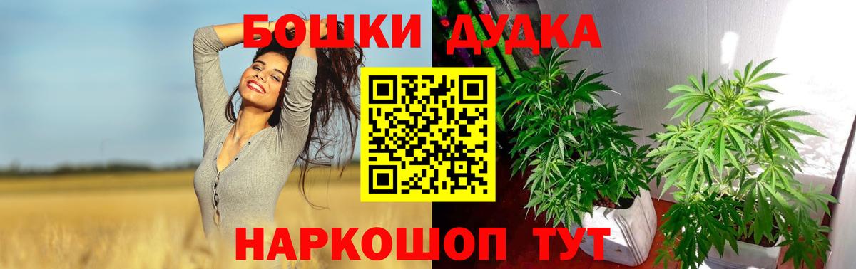 Конопля гибрид Артём